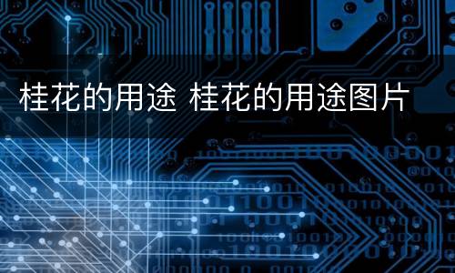 桂花的用途 桂花的用途图片
