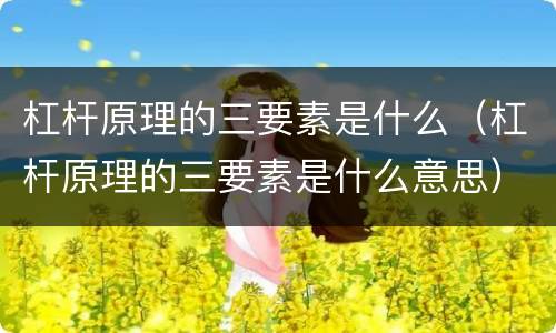 杠杆原理的三要素是什么（杠杆原理的三要素是什么意思）