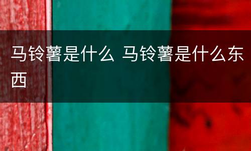 马铃薯是什么 马铃薯是什么东西