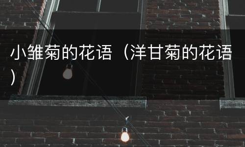 小雏菊的花语（洋甘菊的花语）
