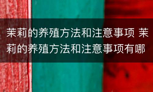 茉莉的养殖方法和注意事项 茉莉的养殖方法和注意事项有哪些