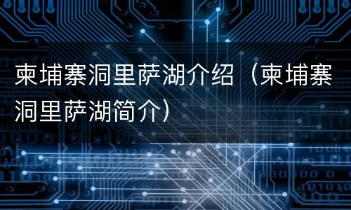柬埔寨洞里萨湖介绍（柬埔寨洞里萨湖简介）