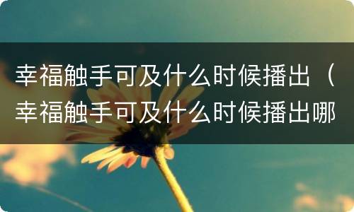 幸福触手可及什么时候播出（幸福触手可及什么时候播出哪个电视台）