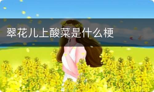 翠花儿上酸菜是什么梗