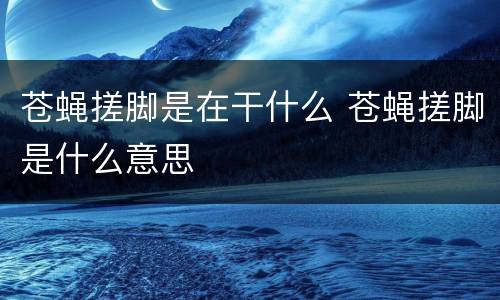 苍蝇搓脚是在干什么 苍蝇搓脚是什么意思