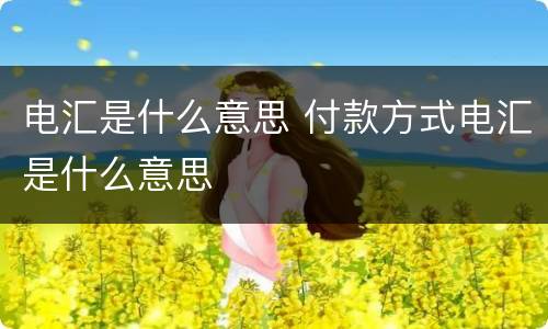 电汇是什么意思 付款方式电汇是什么意思