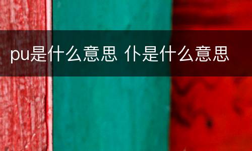 pu是什么意思 仆是什么意思