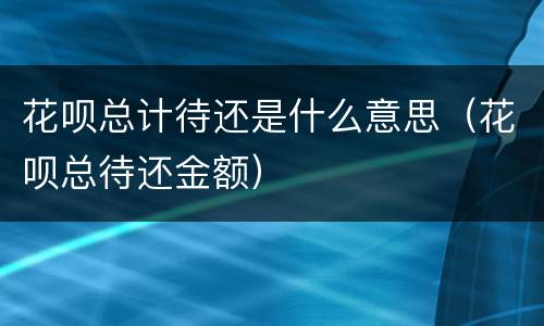花呗总计待还是什么意思（花呗总待还金额）
