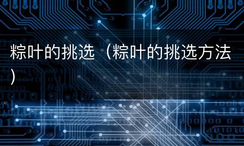 粽叶的挑选（粽叶的挑选方法）