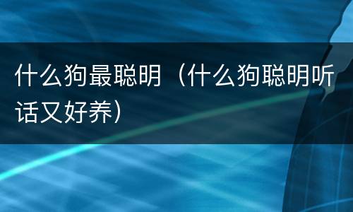 什么狗最聪明（什么狗聪明听话又好养）