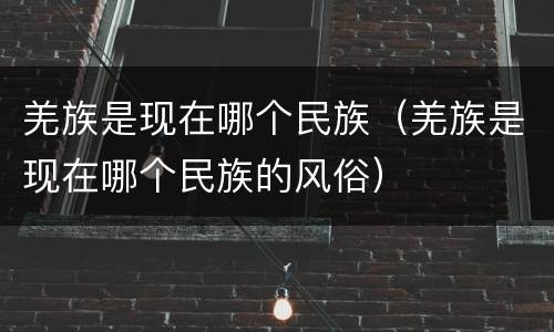 羌族是现在哪个民族（羌族是现在哪个民族的风俗）