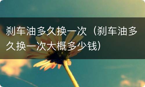 刹车油多久换一次（刹车油多久换一次大概多少钱）