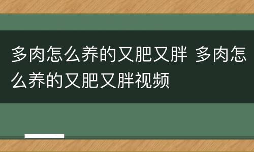 多肉怎么养的又肥又胖 多肉怎么养的又肥又胖视频