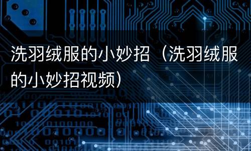 洗羽绒服的小妙招（洗羽绒服的小妙招视频）
