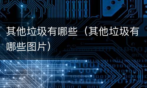其他垃圾有哪些（其他垃圾有哪些图片）