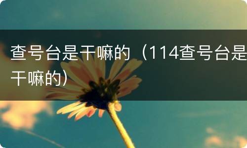 查号台是干嘛的（114查号台是干嘛的）