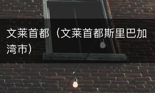 文莱首都（文莱首都斯里巴加湾市）