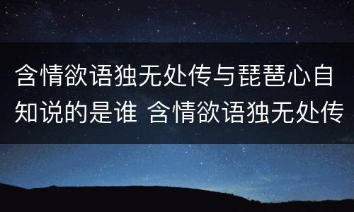 含情欲语独无处传与琵琶心自知说的是谁 含情欲语独无处传与琵琶心自知写的什么人
