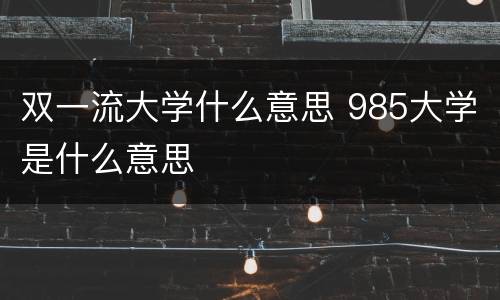 双一流大学什么意思 985大学是什么意思