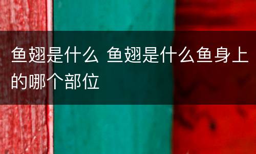 鱼翅是什么 鱼翅是什么鱼身上的哪个部位