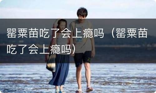 罂粟苗吃了会上瘾吗（罂粟苗吃了会上瘾吗）