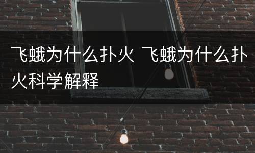 飞蛾为什么扑火 飞蛾为什么扑火科学解释