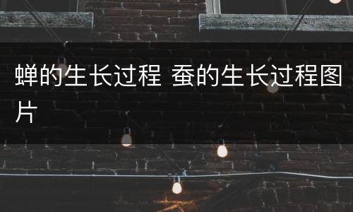 蝉的生长过程 蚕的生长过程图片