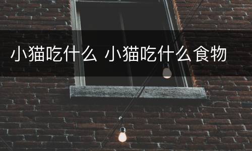 小猫吃什么 小猫吃什么食物