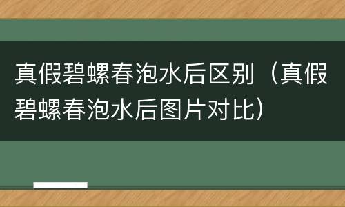 真假碧螺春泡水后区别（真假碧螺春泡水后图片对比）