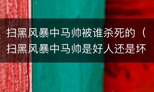 扫黑风暴中马帅被谁杀死的（扫黑风暴中马帅是好人还是坏人）