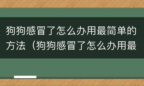 狗狗感冒了怎么办用最简单的方法（狗狗感冒了怎么办用最简单的方法吃药）