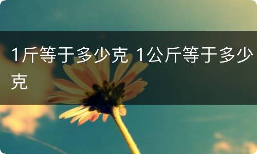1斤等于多少克 1公斤等于多少克