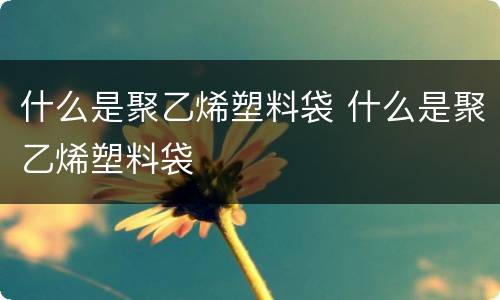 什么是聚乙烯塑料袋 什么是聚乙烯塑料袋