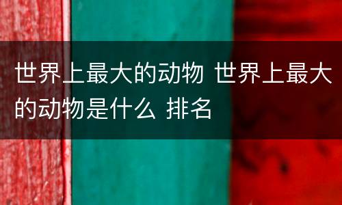 世界上最大的动物 世界上最大的动物是什么 排名
