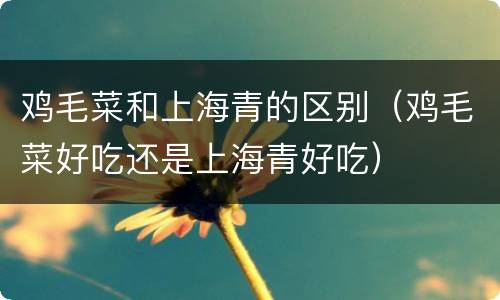鸡毛菜和上海青的区别（鸡毛菜好吃还是上海青好吃）