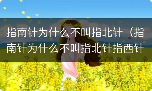 指南针为什么不叫指北针（指南针为什么不叫指北针指西针指东针）