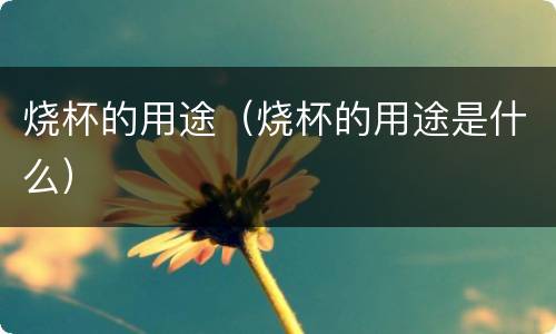 烧杯的用途（烧杯的用途是什么）
