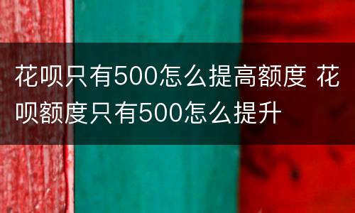 花呗只有500怎么提高额度 花呗额度只有500怎么提升