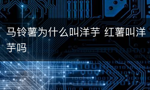 马铃薯为什么叫洋芋 红薯叫洋芋吗