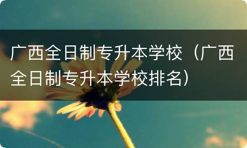 广西全日制专升本学校（广西全日制专升本学校排名）