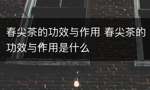 春尖茶的功效与作用 春尖茶的功效与作用是什么