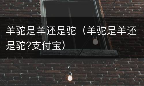 羊驼是羊还是驼（羊驼是羊还是驼?支付宝）