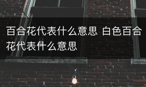 百合花代表什么意思 白色百合花代表什么意思