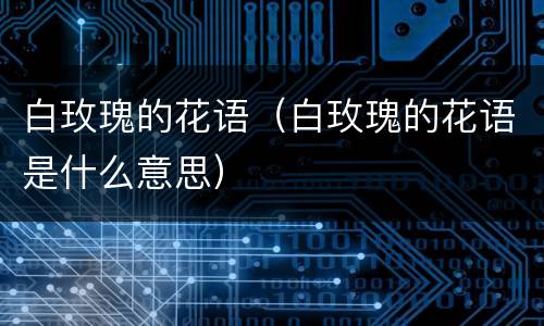 白玫瑰的花语（白玫瑰的花语是什么意思）