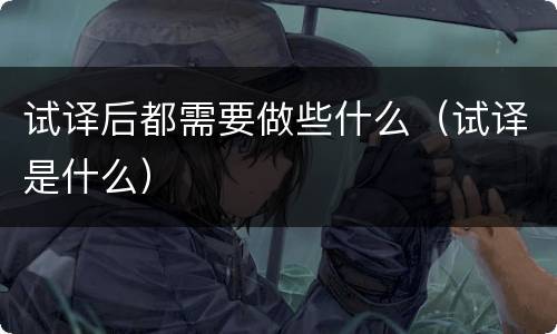 试译后都需要做些什么（试译是什么）