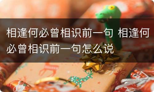 相逢何必曾相识前一句 相逢何必曾相识前一句怎么说