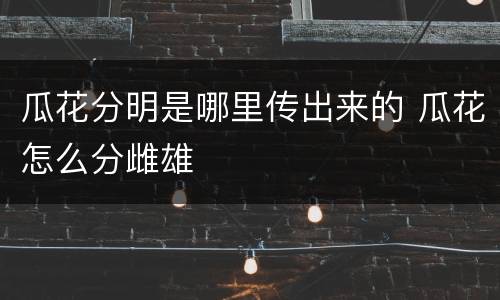 瓜花分明是哪里传出来的 瓜花怎么分雌雄