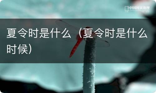 夏令时是什么（夏令时是什么时候）