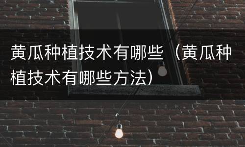 黄瓜种植技术有哪些（黄瓜种植技术有哪些方法）