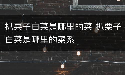 扒栗子白菜是哪里的菜 扒栗子白菜是哪里的菜系